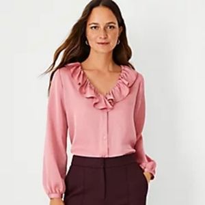 NWT Ann Taylor Ruffle Blouse